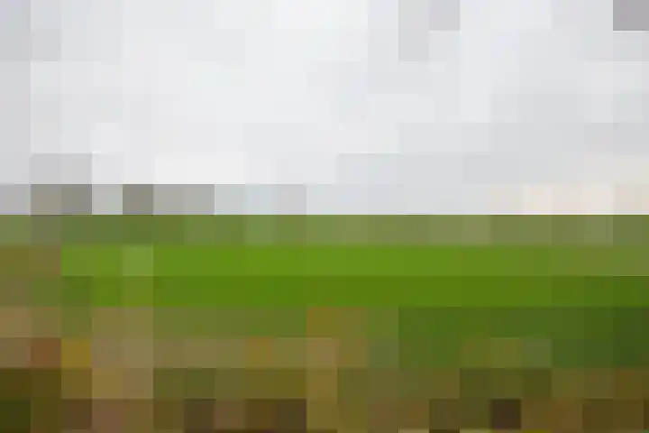 Vosmaatweg 2 a Vriezenveen thumbnail 59