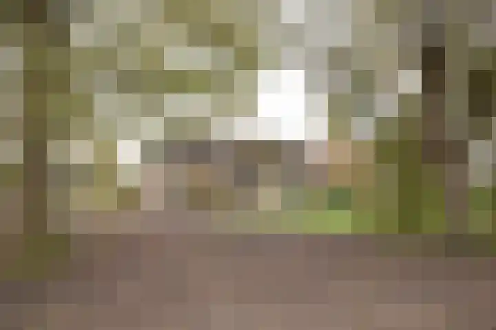Vosmaatweg 2 a Vriezenveen thumbnail 6