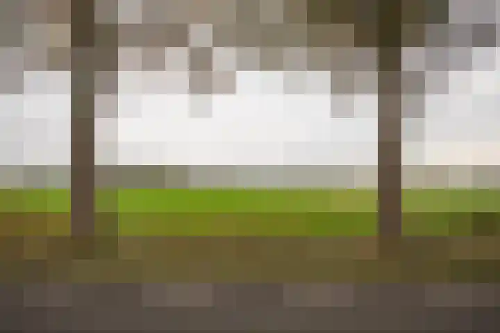 Vosmaatweg 2 a Vriezenveen thumbnail 60