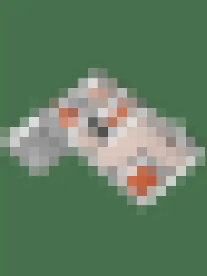 Vosmaatweg 2 a Vriezenveen thumbnail 62