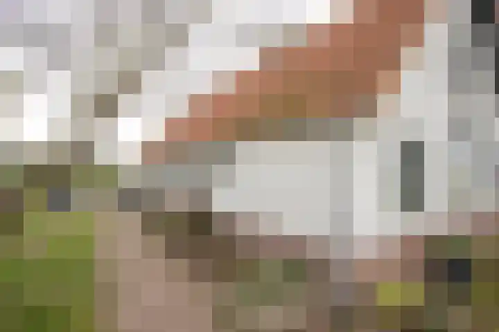 Vosmaatweg 2 Vriezenveen thumbnail 10