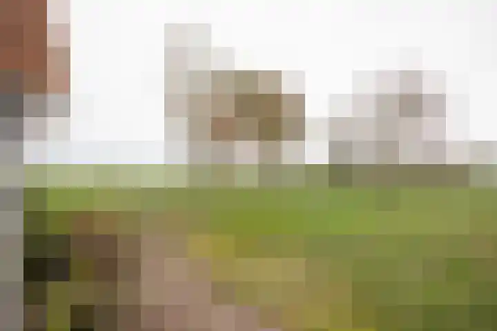 Vosmaatweg 2 Vriezenveen thumbnail 11