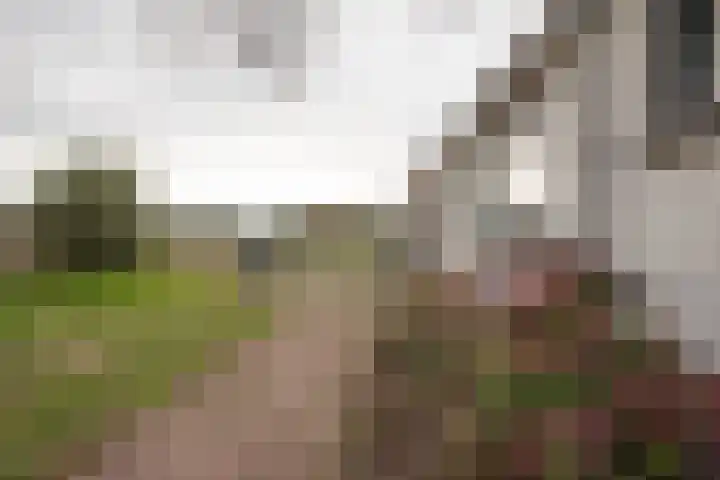 Vosmaatweg 2 Vriezenveen thumbnail 12
