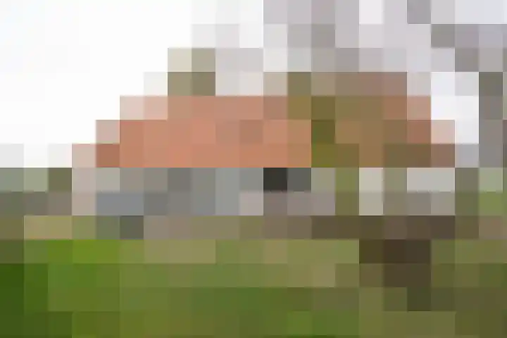 Vosmaatweg 2 Vriezenveen thumbnail 13