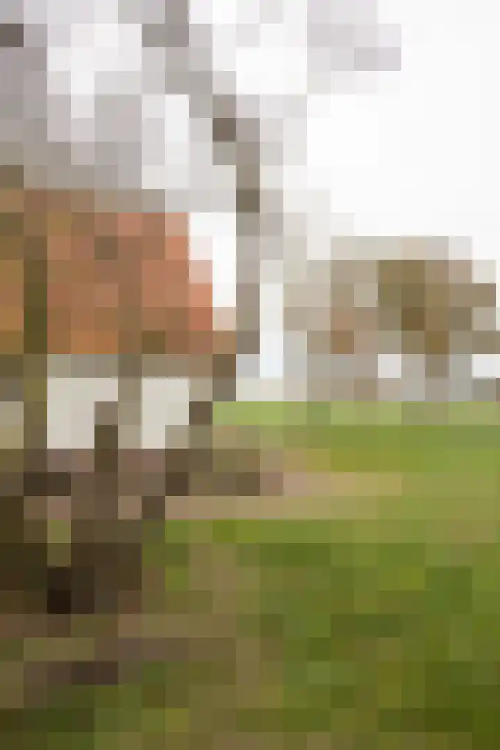 Vosmaatweg 2 Vriezenveen thumbnail 14