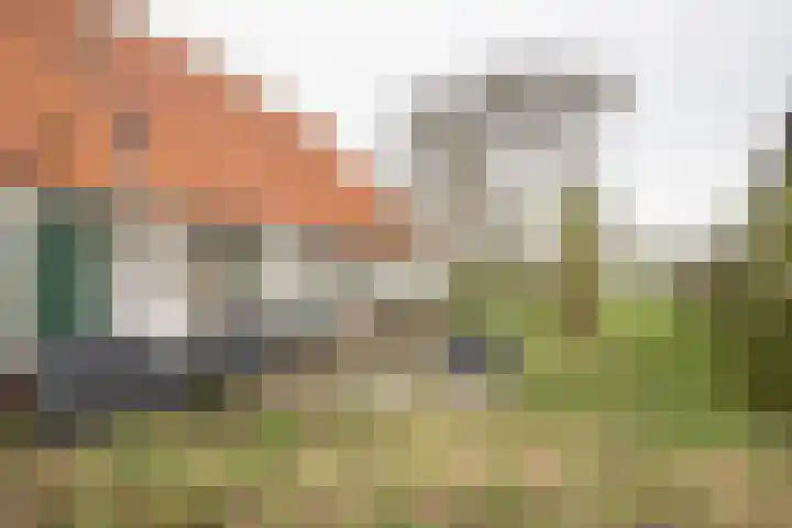 Vosmaatweg 2 Vriezenveen thumbnail 15