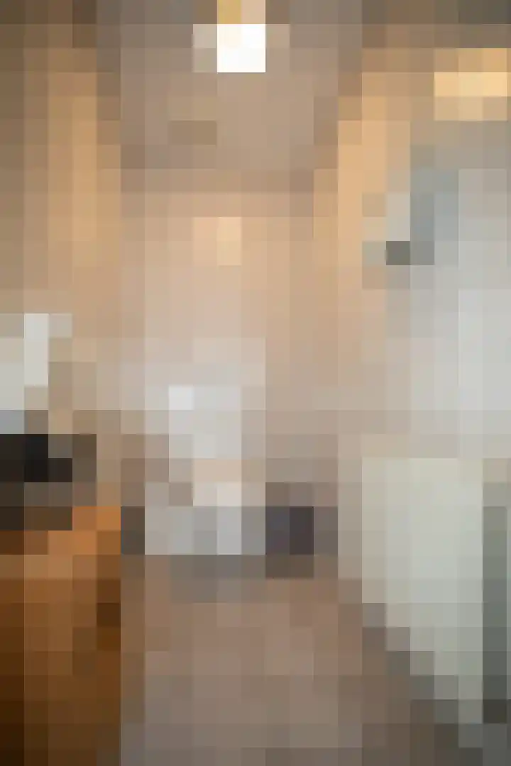 Vosmaatweg 2 Vriezenveen thumbnail 17