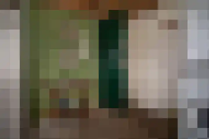 Vosmaatweg 2 Vriezenveen thumbnail 18