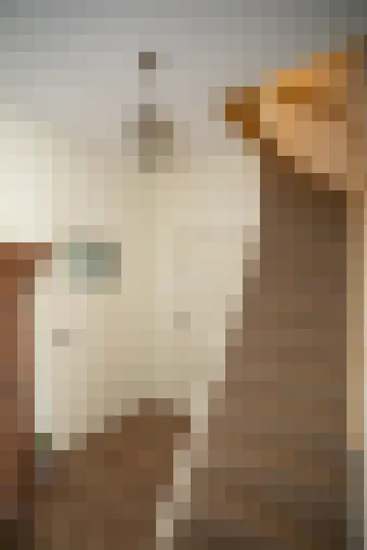 Vosmaatweg 2 Vriezenveen thumbnail 20