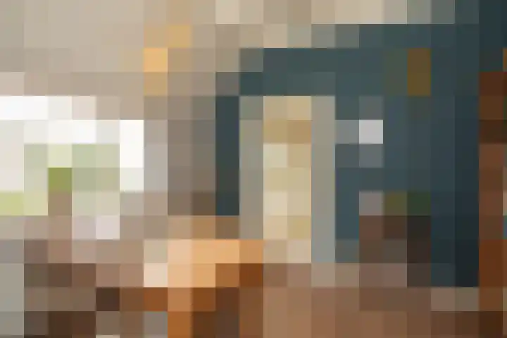 Vosmaatweg 2 Vriezenveen thumbnail 28