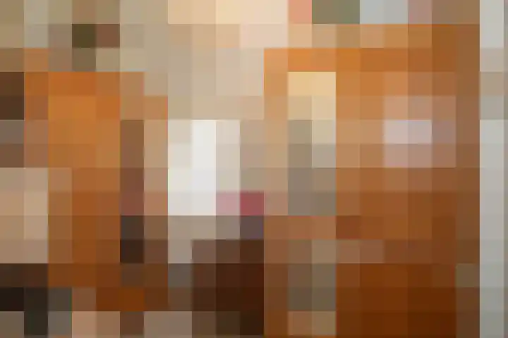 Vosmaatweg 2 Vriezenveen thumbnail 30
