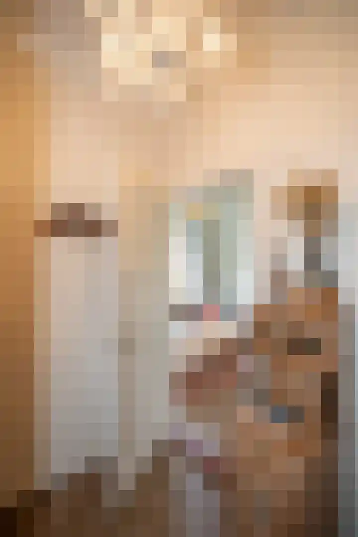 Vosmaatweg 2 Vriezenveen thumbnail 31