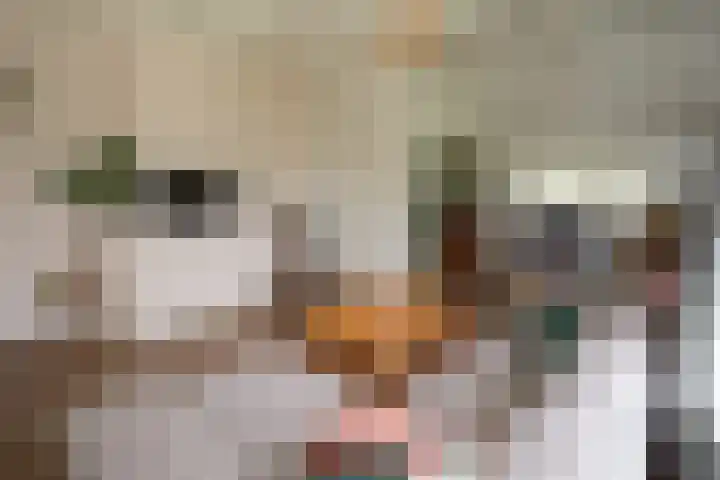 Vosmaatweg 2 Vriezenveen thumbnail 34