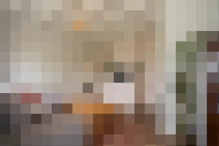 Vosmaatweg 2 Vriezenveen thumbnail 37