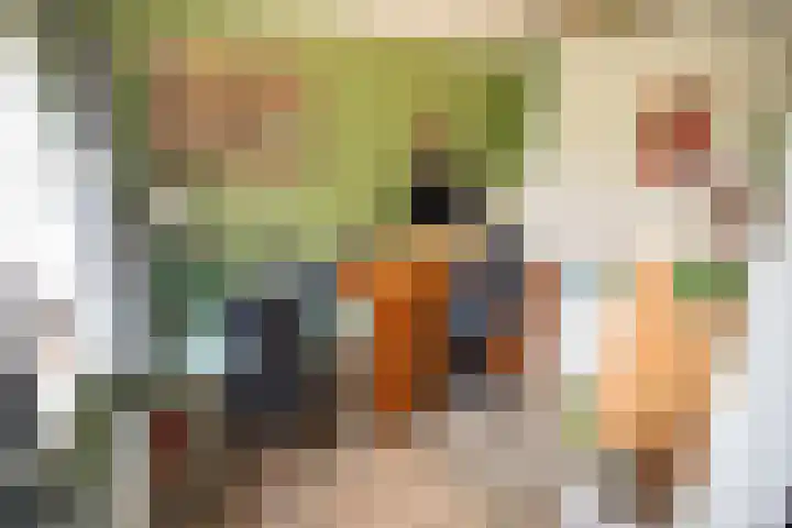 Vosmaatweg 2 Vriezenveen thumbnail 39