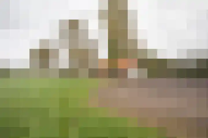 Vosmaatweg 2 Vriezenveen thumbnail 4