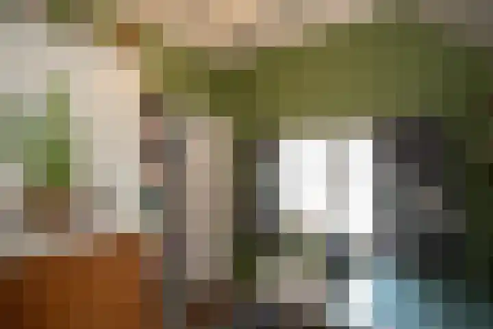 Vosmaatweg 2 Vriezenveen thumbnail 40