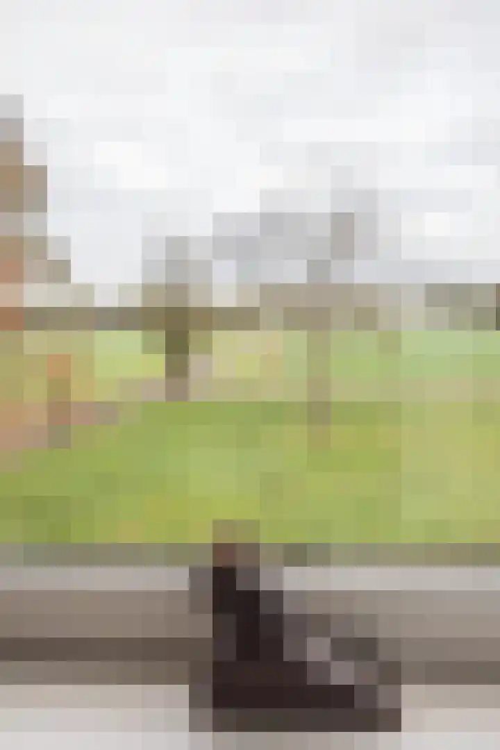 Vosmaatweg 2 Vriezenveen thumbnail 46