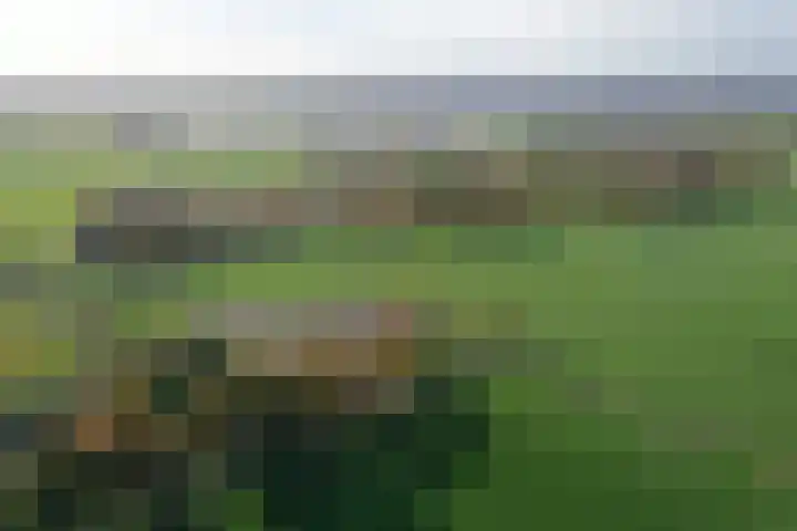 Vosmaatweg 2 Vriezenveen thumbnail 50