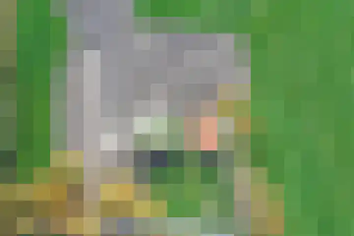 Vosmaatweg 2 Vriezenveen thumbnail 51