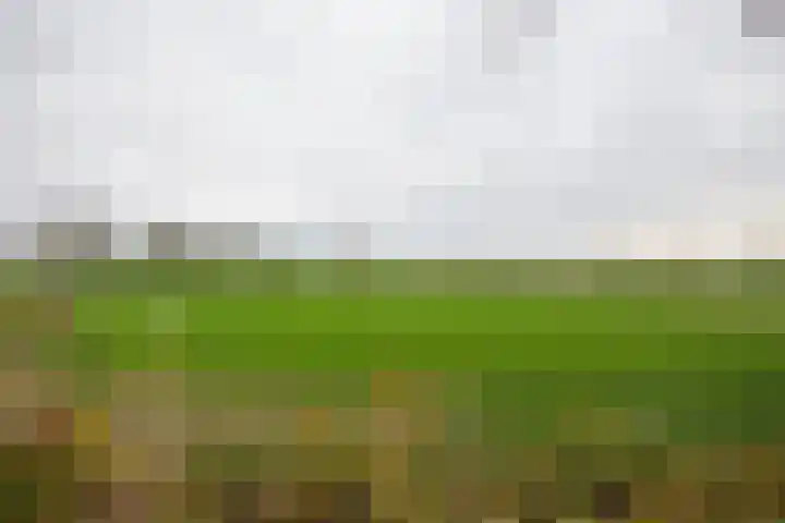 Vosmaatweg 2 Vriezenveen thumbnail 52