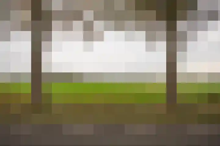Vosmaatweg 2 Vriezenveen thumbnail 53