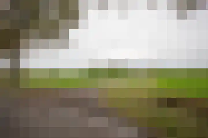 Vosmaatweg 2 Vriezenveen thumbnail 54