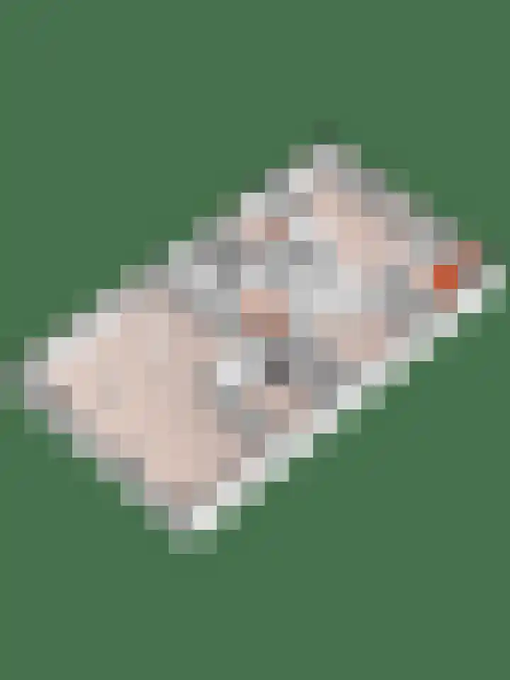 Vosmaatweg 2 Vriezenveen thumbnail 56