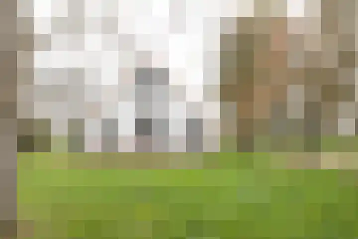 Vosmaatweg 2 Vriezenveen thumbnail 6