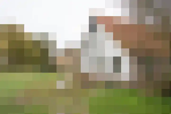 Vosmaatweg 2 Vriezenveen thumbnail 7