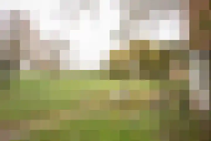 Vosmaatweg 2 Vriezenveen thumbnail 8