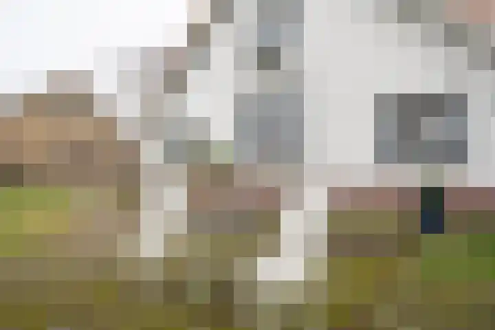 Vosmaatweg 2 Vriezenveen thumbnail 9
