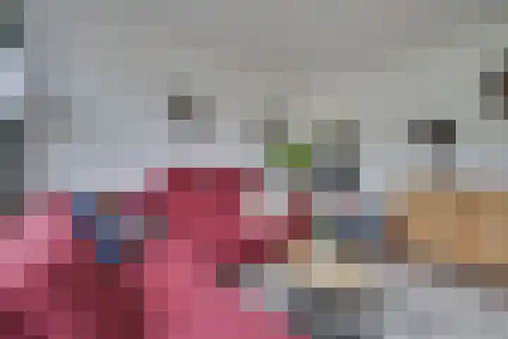 Vosmaerlaan 16 Heerhugowaard thumbnail 11
