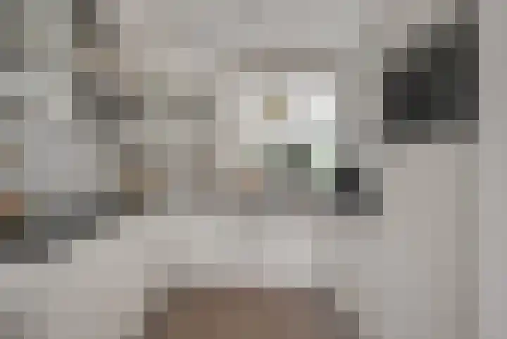 Vosmaerlaan 16 Heerhugowaard thumbnail 17