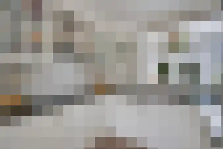 Vosmaerlaan 16 Heerhugowaard thumbnail 18