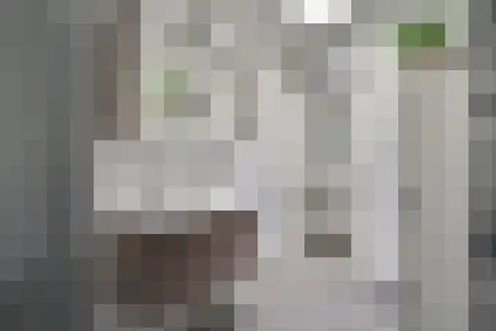 Vosmaerlaan 16 Heerhugowaard thumbnail 22