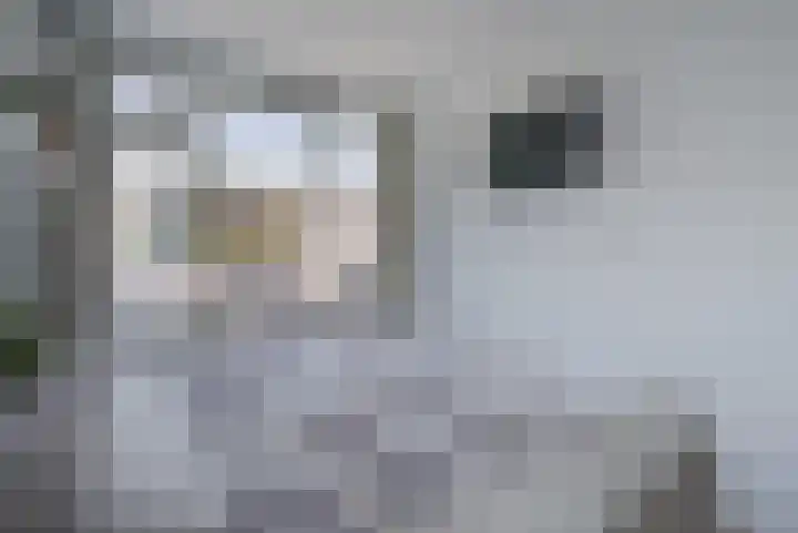Vosmaerlaan 16 Heerhugowaard thumbnail 25