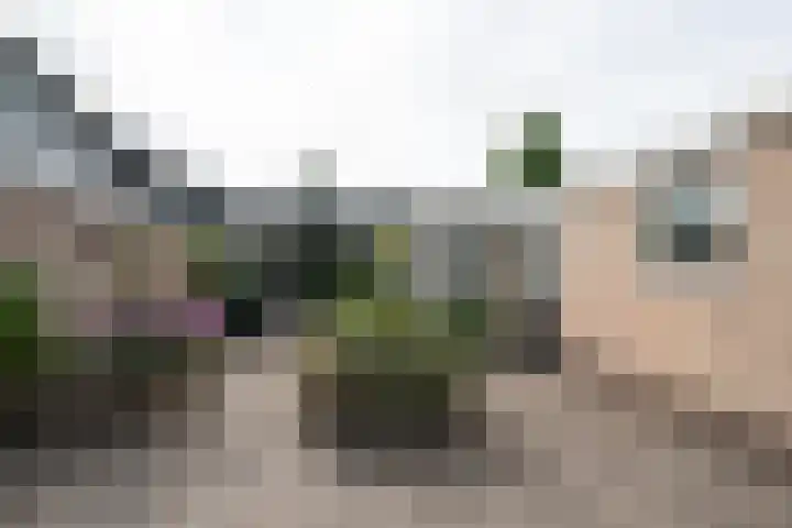 Vosmaerlaan 16 Heerhugowaard thumbnail 35