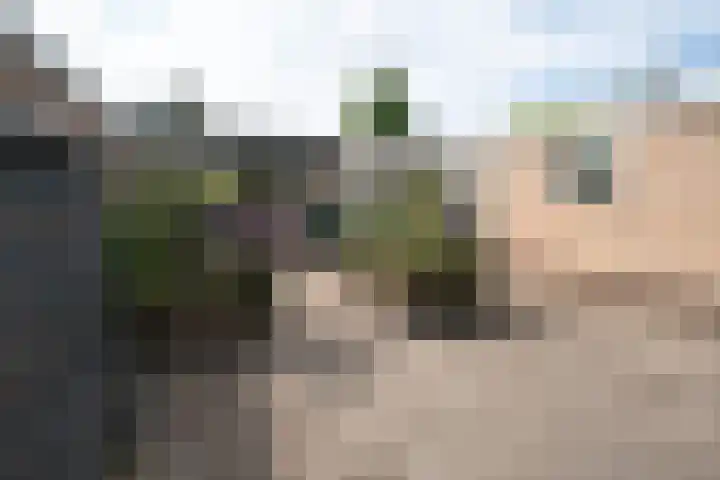 Vosmaerlaan 16 Heerhugowaard thumbnail 37