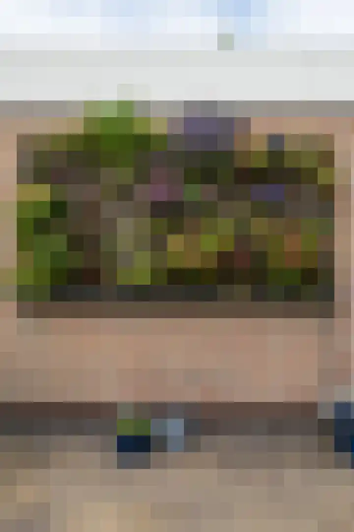 Vosmaerlaan 16 Heerhugowaard thumbnail 41