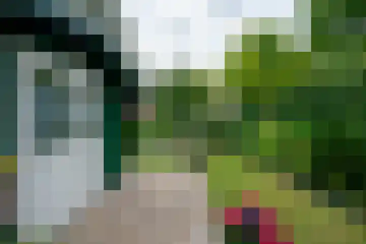 Vosmaerlaan 16 Heerhugowaard thumbnail 45