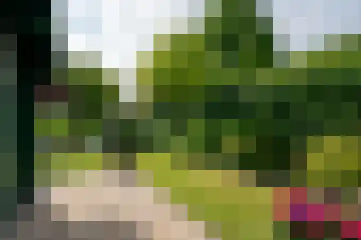 Vosmaerlaan 16 Heerhugowaard thumbnail 46