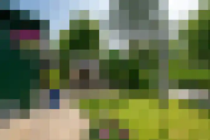Vosmaerlaan 16 Heerhugowaard thumbnail 47