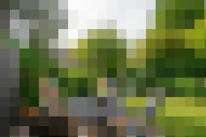 Vosmaerlaan 16 Heerhugowaard thumbnail 49