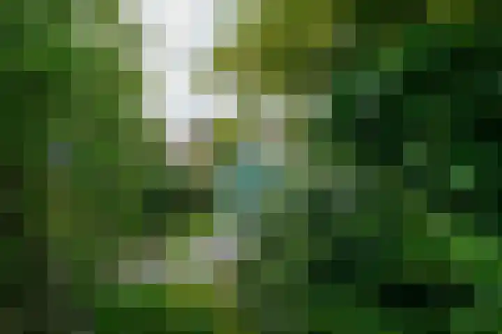 Vosmaerlaan 16 Heerhugowaard thumbnail 50