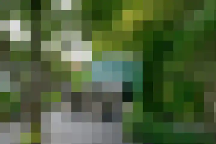 Vosmaerlaan 16 Heerhugowaard thumbnail 51