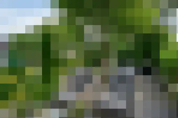 Vosmaerlaan 16 Heerhugowaard thumbnail 53