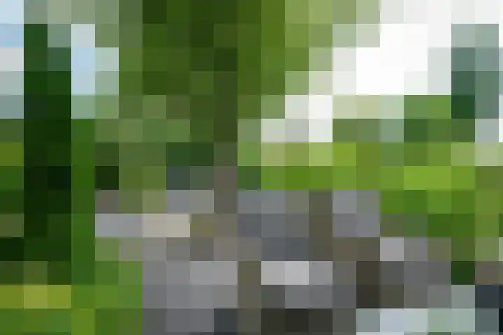 Vosmaerlaan 16 Heerhugowaard thumbnail 54