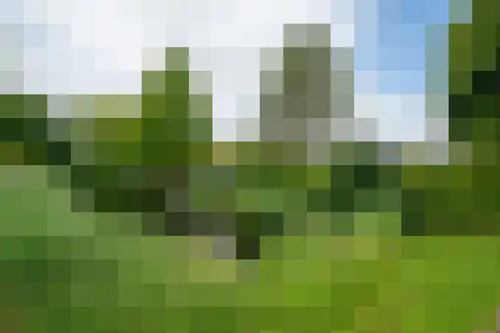 Vosmaerlaan 16 Heerhugowaard thumbnail 57
