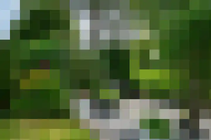 Vosmaerlaan 16 Heerhugowaard thumbnail 61